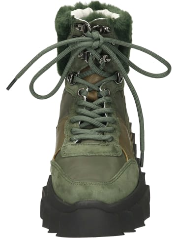 Apple of Eden Schnürstiefeletten, Winterstiefeletten in florest