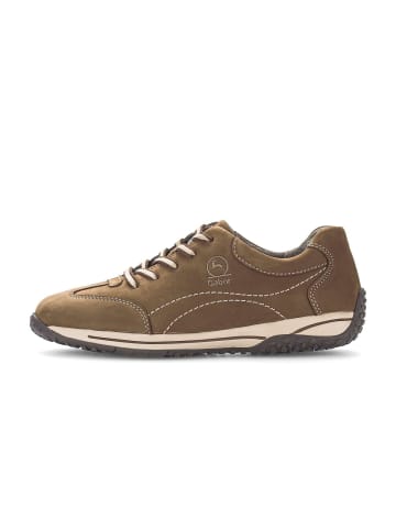 Gabor Sneaker low in braun