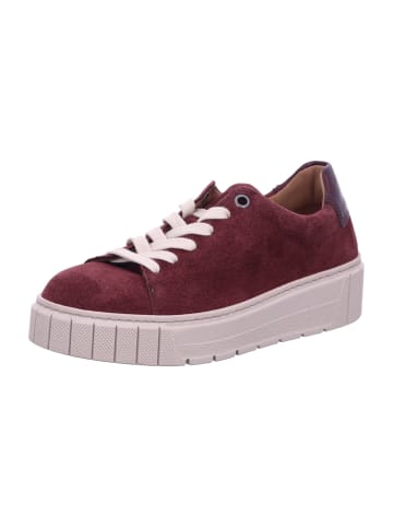 Gabor Comfort Damen- Schnürschuhe  in Rot