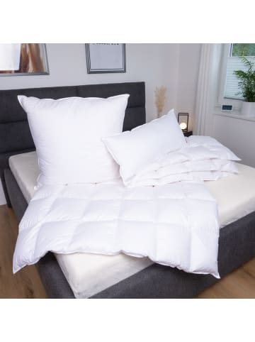 Sanders-Kauffmann Weidegans Daunenbettdecke warm in weiß