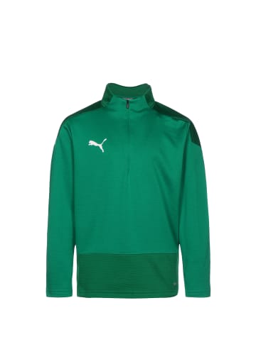 Puma Sweatshirt teamGOAL 23 in grün / dunkelgrün