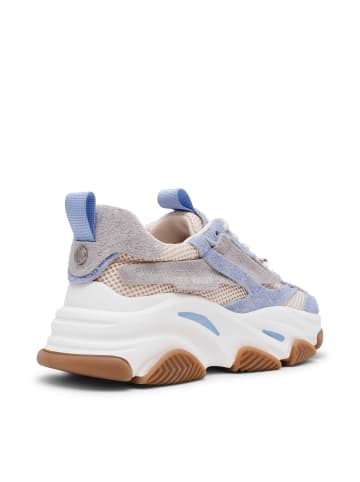 Steve Madden Sneaker in blau