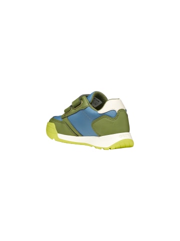 Geox Niedrige Ledersneaker für Kinder, Modell J Ran E Grün