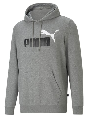 Puma Hoodie in grau