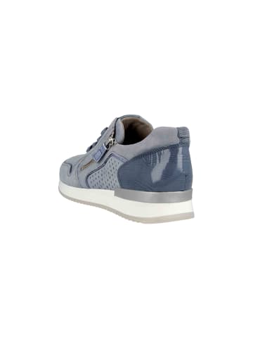 Gabor Sneaker  in Blau