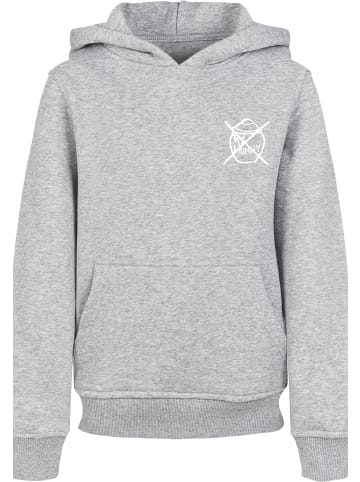 F4NT4STIC Hoodie in heather grey