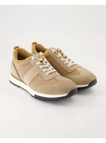 Paul Green Sneaker low in Braun