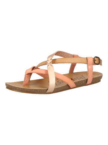 Blowfish Sandalen in Nude