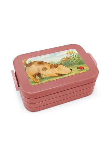 Mr. & Mrs. Panda MEPAL Bentobox Hund Marienkäfer Design ohne Spruch in Rot Pastell