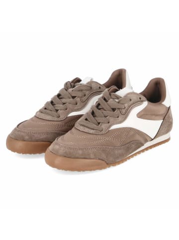 Bullboxer Low Sneaker in braun
