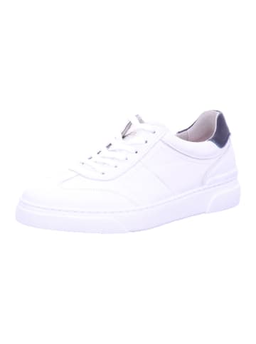 Pius Gabor Sneaker in weiß