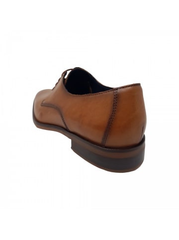 LLOYD eleganter Schnürer Odil in Braun