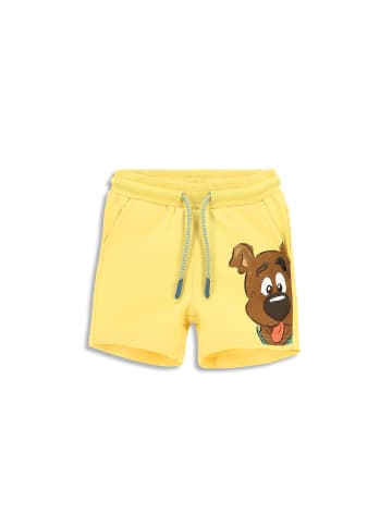 Coccodrillo Kurze Hose  in gelb