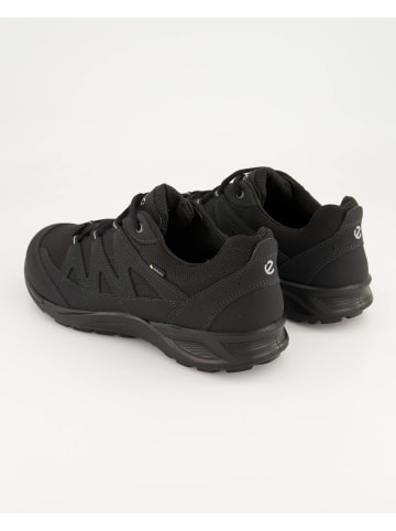 Ecco Sneaker low in Schwarz