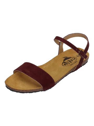 Plakton Sandalen MAM AMBO 575725 in rot