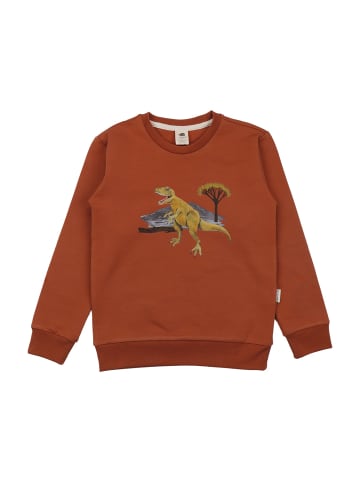 Walkiddy Sweatshirt Dinasaur World-Sweatshirt