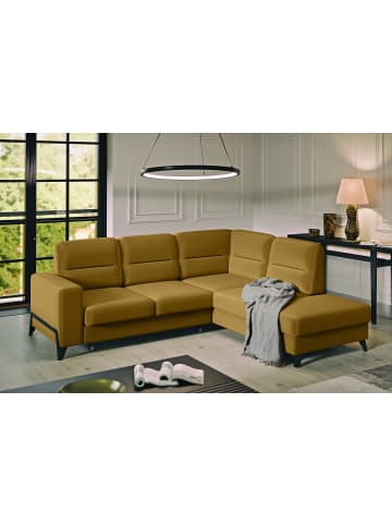 MF Design Cassada Recamiere Rechts in Amber -  (L) 237 x (B) 277 x (H) 100 cm