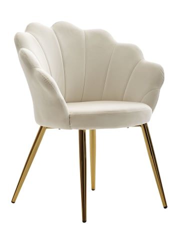 FineBuy Esszimmerstuhl in Weiß / Samt / 47x53x80