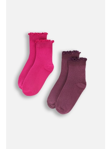 Coccodrillo Socken in bunt