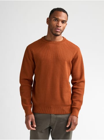 Petrol Industries Rundhals-Strickpullover aus Baumwollmix steelbend in Orange