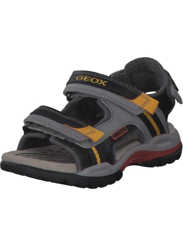 Geox Sandalen in Grau