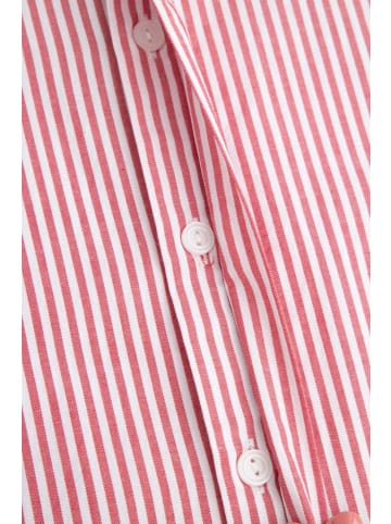 Coccodrillo Gestreiftes Langarmhemd in bunt