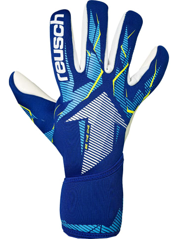Reusch Torwarthandschuhe Fastgrip Advance in 4994 sharp blue/white