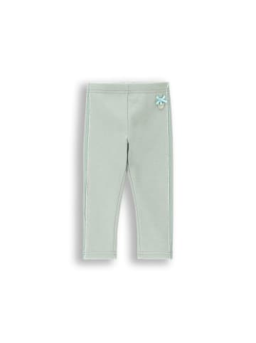 Coccodrillo Leggings mit langem Hosenbein in in Minzfarbe