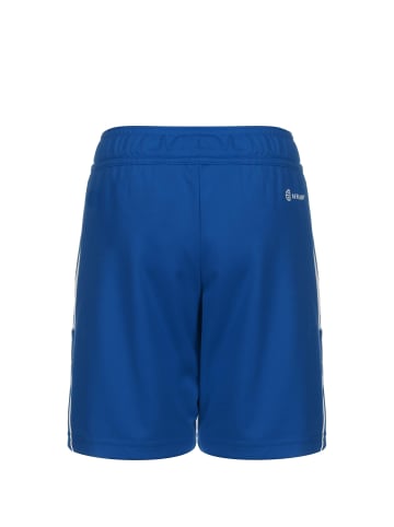 adidas Performance Trainingsshorts Tiro 23 in blau / weiß