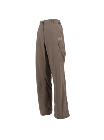 Jack Wolfskin Hose Basic Desert Pants Travel in Grau