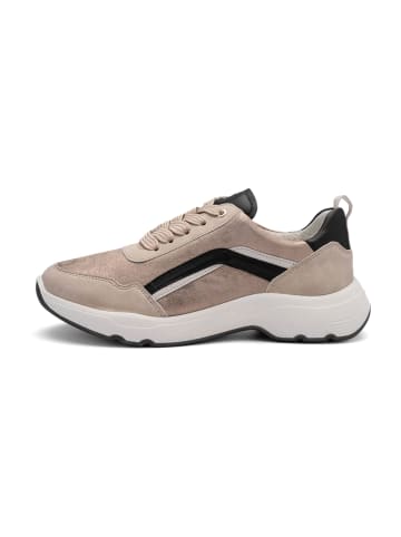 ara Sportliche Schnürschuhe in Beige