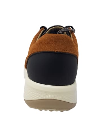 Joya Sportliche Schnürschuhe in Braun