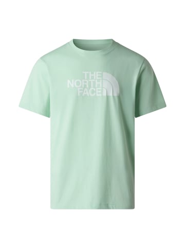 The North Face Evolution Half Dome Regular T-Shirt in Mint