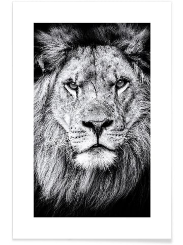 Juniqe Poster "Portrait of a Regal Lion" in Schwarz & Weiß