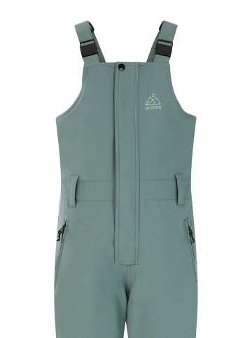 Protest " PRTCRANE JR in Evergreen