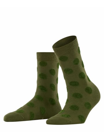 Falke Socken Fashion in Forest