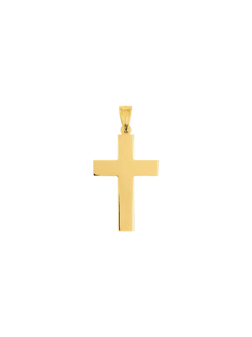 Amor Motivanhänger Gold 585/14 ct, teilrhodiniert in Tricolor