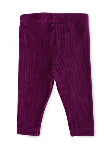 Sigikid Stretchcord Leggings in lila