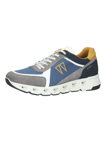 Igi&Co Sneaker in Grau/Blau