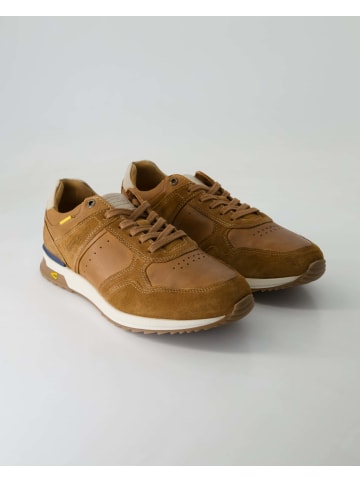 Camel Active Sneaker low in Braun
