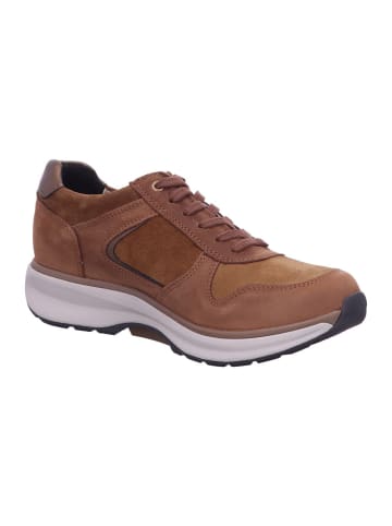 Xsensible Damen- Schnürschuhe New Jersey in Braun