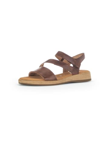 Gabor Comfort Sandalen in Braun