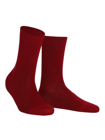 Wilox Socken mit Merino Wolle in rot