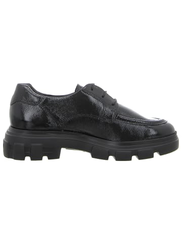 Paul Green Schnürschuhe in schwarz