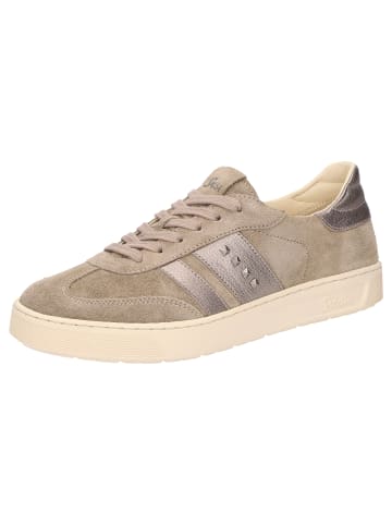 Sioux Sneaker Maites sneaker 005 in beige