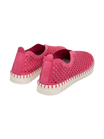 Ilse Jacobsen Sneaker Low TULIP3275 in Viva Magenta