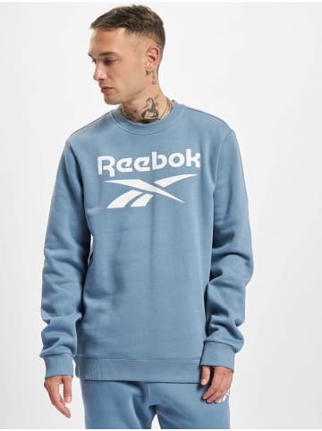 Reebok Hoodie in blue