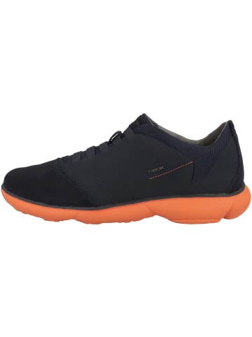 Geox Sneaker low U Nebula B in blau