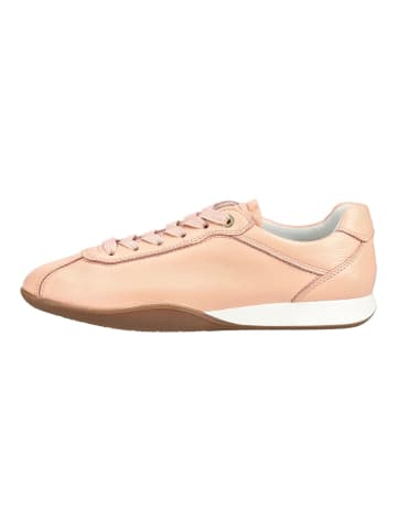ara Sneaker in Rosa