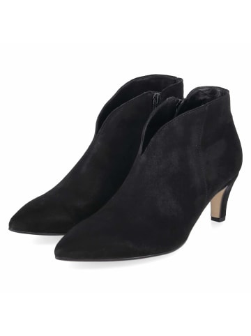 Gabor Ankle Boots in schwarz